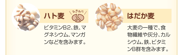 １６種類の穀物