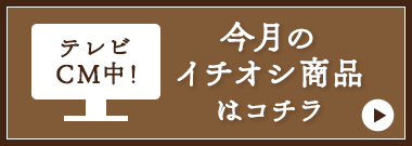 今月のイチオシ商品はコチラ