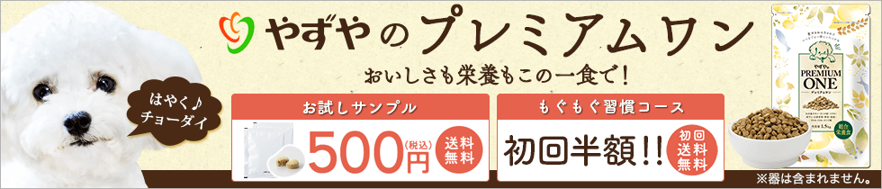 プレミアムワン 特別価格