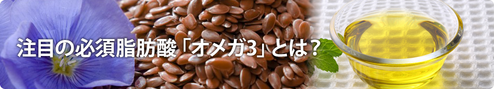 注目の必須脂肪酸「オメガ3」とは？