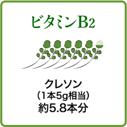 ビタミンB2