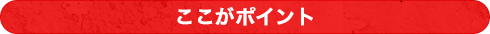 ここがポイント