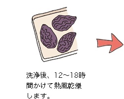 洗浄後、12〜18時間かけて熱風乾燥します。