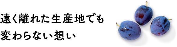 遠く離れた生産地でも変わらない想い