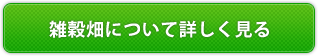 雑穀畑について詳しく見る