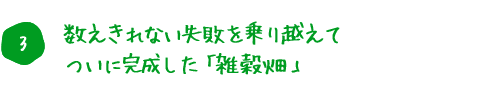 3. 数え切れない失敗を乗り越えてついに完成した「雑穀畑」