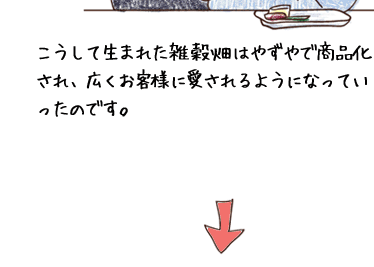 こうして生まれた雑穀畑はやずやで商品化され、広くお客様に愛されるようになっていったのです。