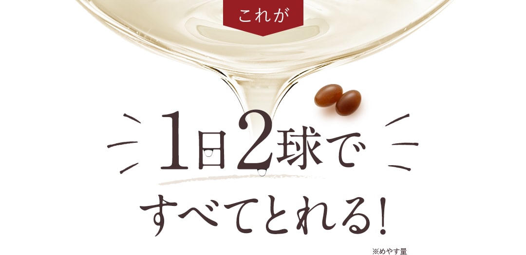 これが1日2球ですべてとれる!