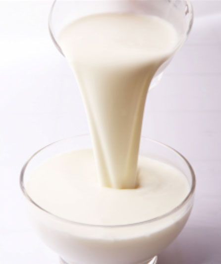 発酵乳の起源、それがケフィアです！