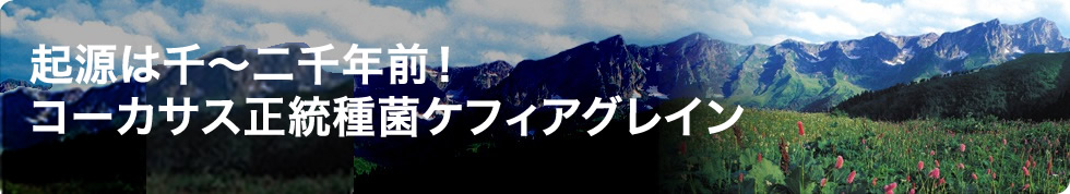 起源は千～二千年前！コーカサス正統種菌ケフィアグレイン