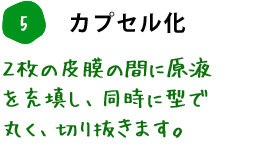 5. カプセル化 2枚の皮膜の間に原液を充填し、同時に型で丸く、切り抜きます。