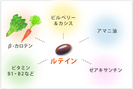 クリアな毎日をサポートする栄養素をギュッと配合