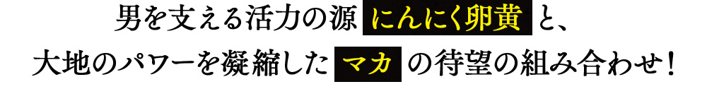 男を支える活力の源 にんにく卵黄 と、大地のパワーを凝縮した マカ の待望の組み合わせ！