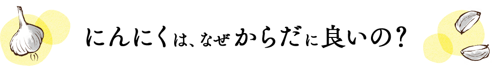 にんにくは、なぜからだに良いの？