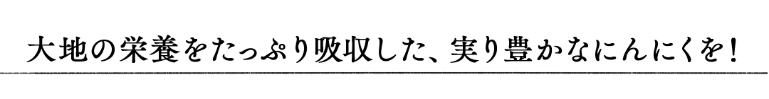 大地の栄養をたっぷり吸収した、実り豊かなにんにくを！