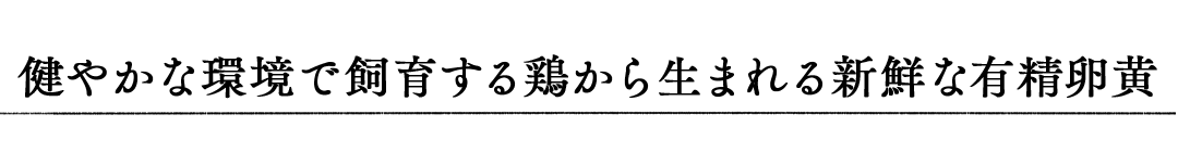 健やかな環境で飼育する鶏から生まれる新鮮な有精卵黄