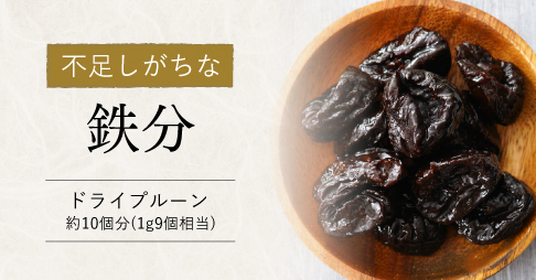不足しがちな 鉄分 ドライプルーン 約10個分(1g9個相当)