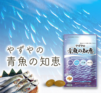 青魚の知恵