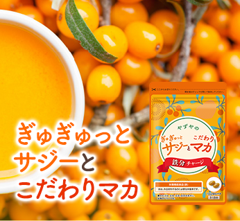 ぎゅぎゅっとサジーとこだわりマカ