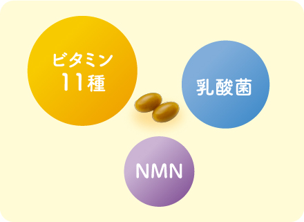 ビタミン11種、乳酸菌、NMN成分を配合
