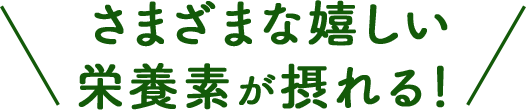 嬉しい栄養素が豊富に摂れる！