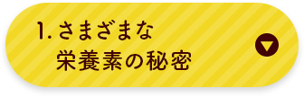 さまざまな栄養素の秘密