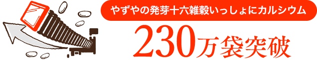 累計販売数