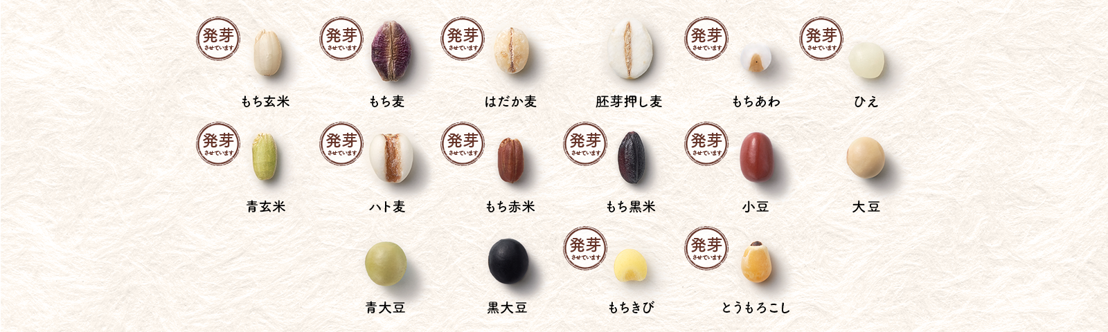 もち玄米（発芽させています） もち麦（発芽させています） はだか麦（発芽させています） 胚芽押し麦 もちあわ（発芽させています） ひえ（発芽させています） 青玄米（発芽させています） ハト麦（発芽させています） もち赤米（発芽させています） もち黒米（発芽させています） 小豆（発芽させています） 大豆 青大豆 黒大豆 もちきび（発芽させています） とうもろこし（発芽させています）