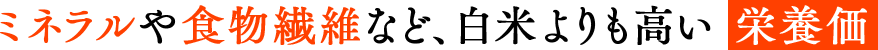 ミネラルや食物繊維など、白米よりも高い 栄養価