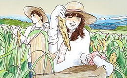 雑穀米の収穫体験