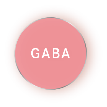 アミノ酪酸（GABA）