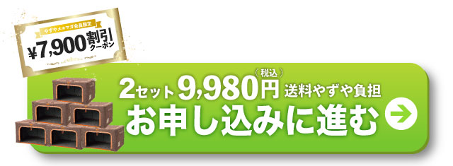 2セットお申し込みに進む