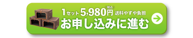 1セットお申し込みに進む