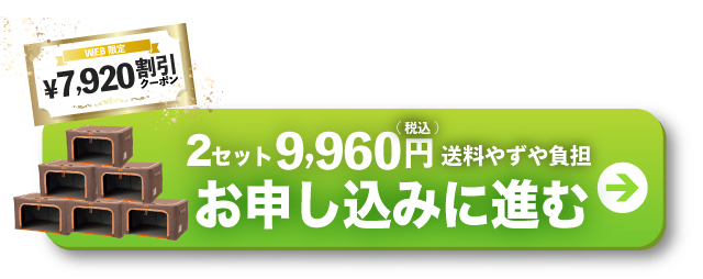 2セットお申し込みに進む