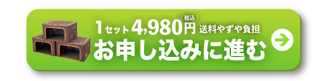 1セットお申し込みに進む