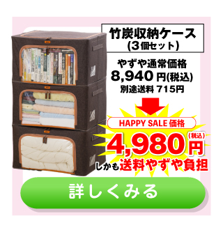 竹炭収納ケース