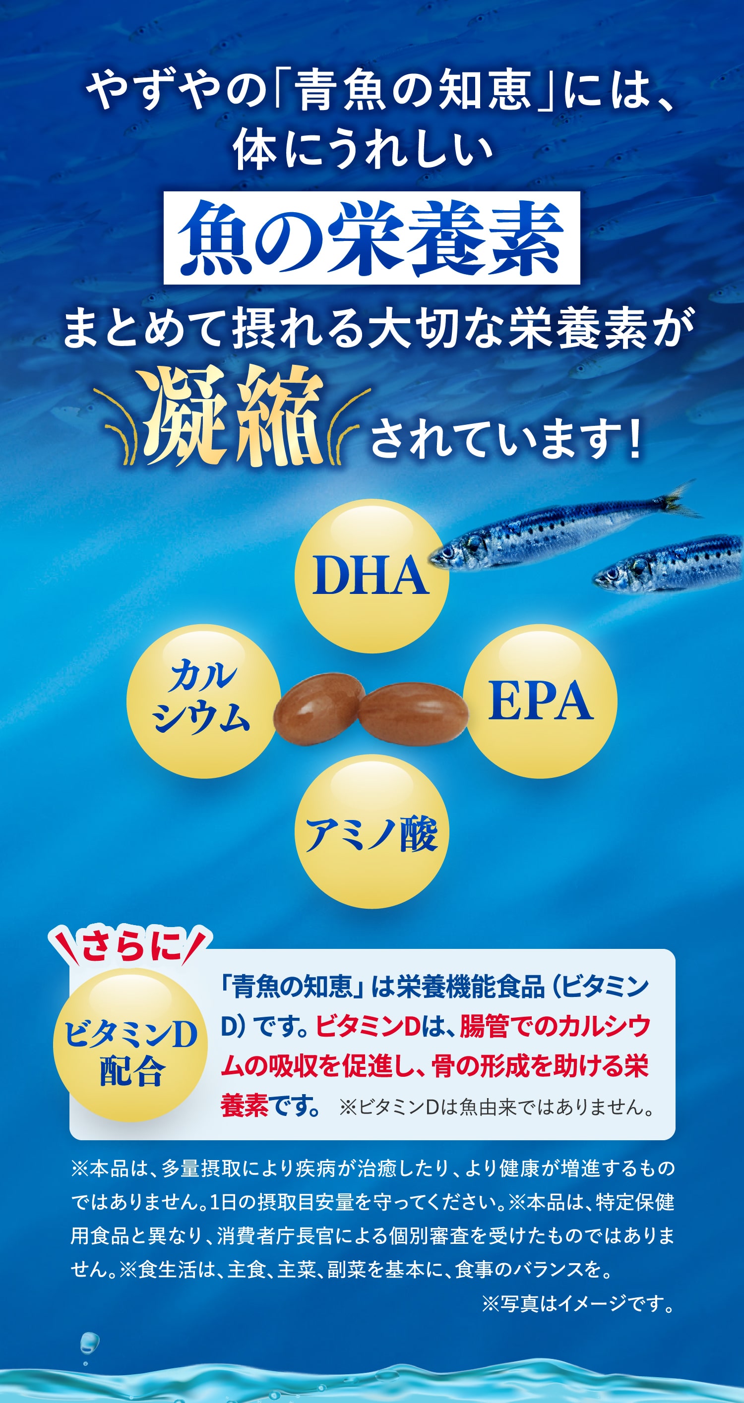 やずやの「青魚の知恵」には、
			体にうれしい魚の栄養素まとめて摂れる大切な栄養素が凝縮されています！
			さらにビタミンD配合 「青魚の知恵」は栄養機能食品（ビタミンD）です。ビタミンDは、腸管でのカルシウムの吸収を促進し、骨の形成を助ける栄養素です。
			※本品は、多量摂取により疾病が治癒したり、より健康が増進するものではありません。1日の摂取目安量を守ってください。※本品は、特定保健用食品と異なり、消費者庁長官による個別審査を受けたものではありません。※食生活は、主食、主菜、副菜を基本に、食事のバランスを。