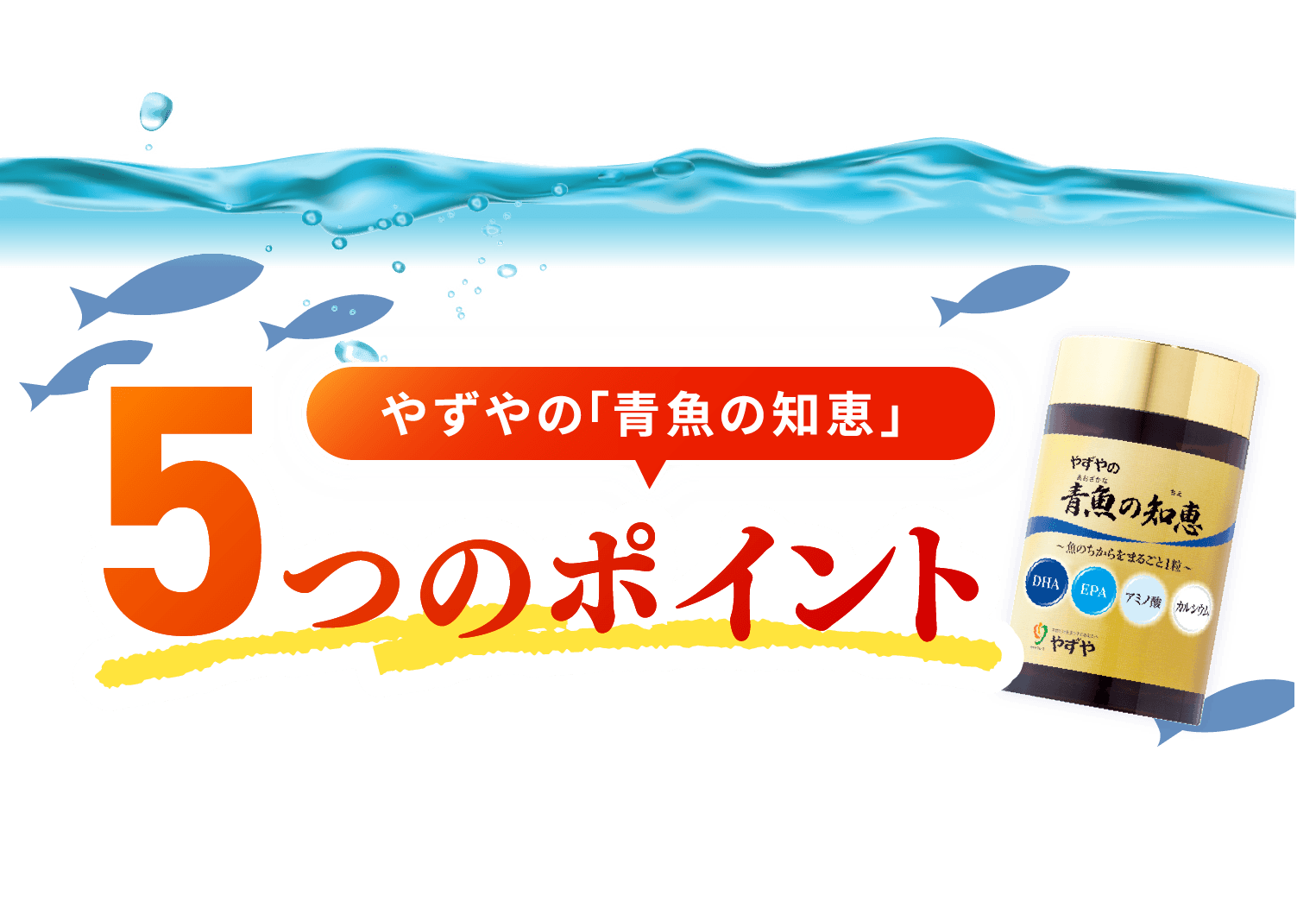 やずやの「青魚の知恵」5つのポイント
