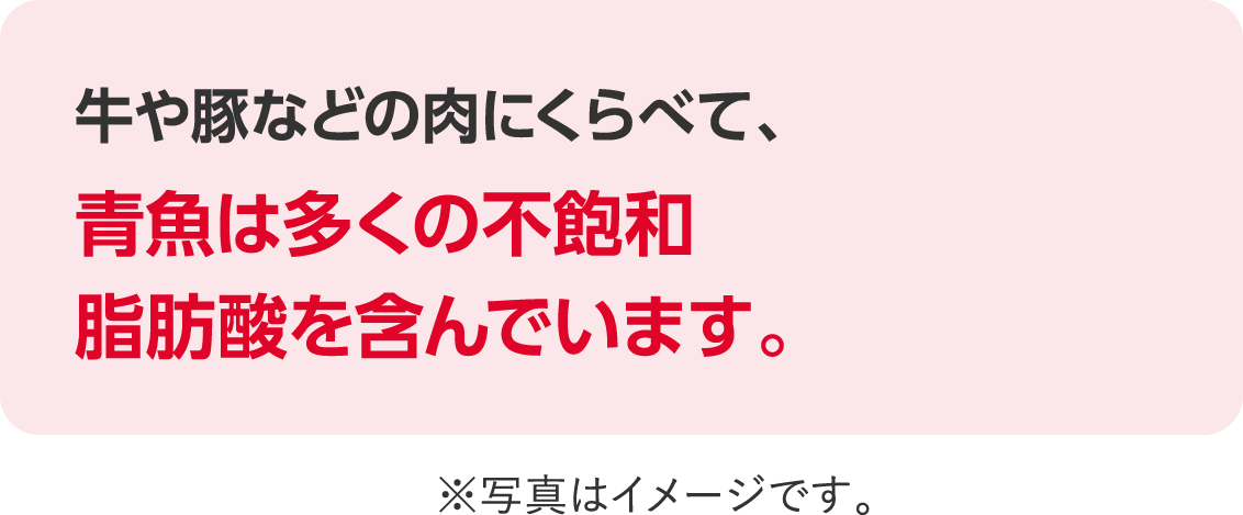 牛や豚などの肉にくらべて、
							青魚は多くの不飽和脂肪酸を含んでいます。