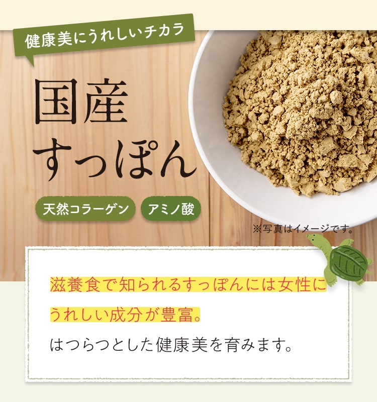 【健康美にうれしいチカラ】国産すっぽん