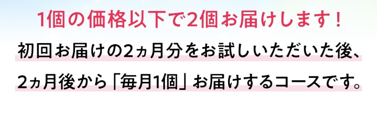 1個の価格以下で2個お届けします！