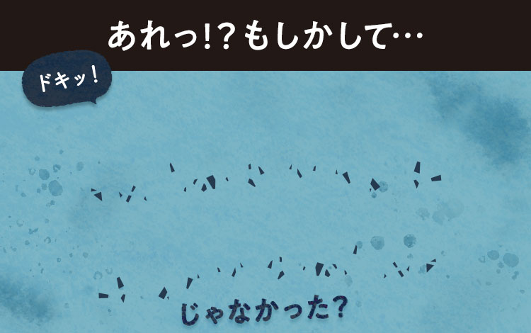 あれっ！？もしかして…