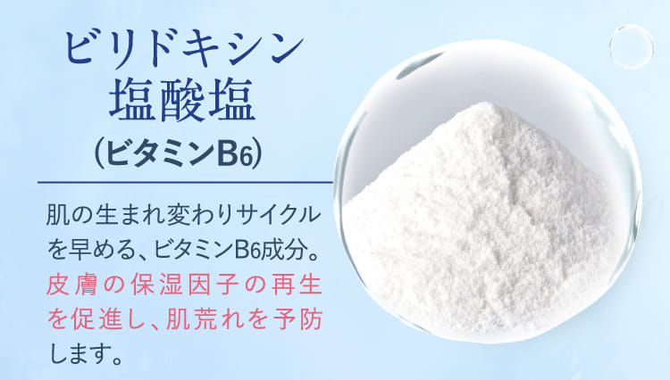 ビリドキシン塩酸塩