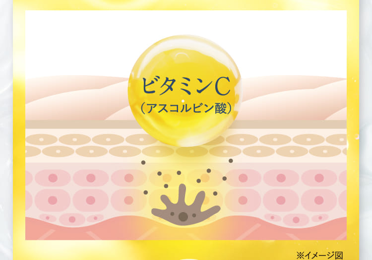 ※イメージ図