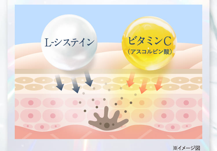 ※イメージ図