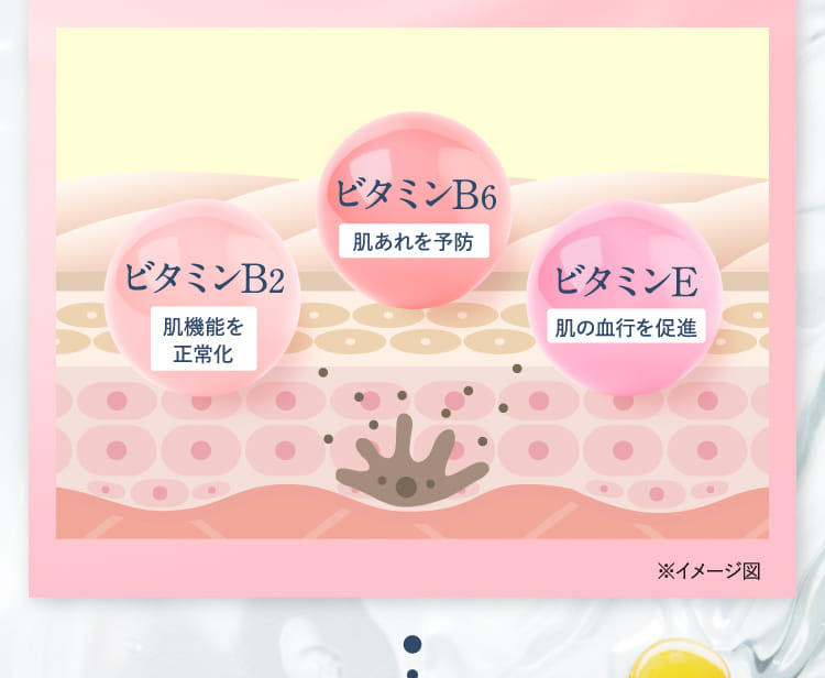※イメージ図