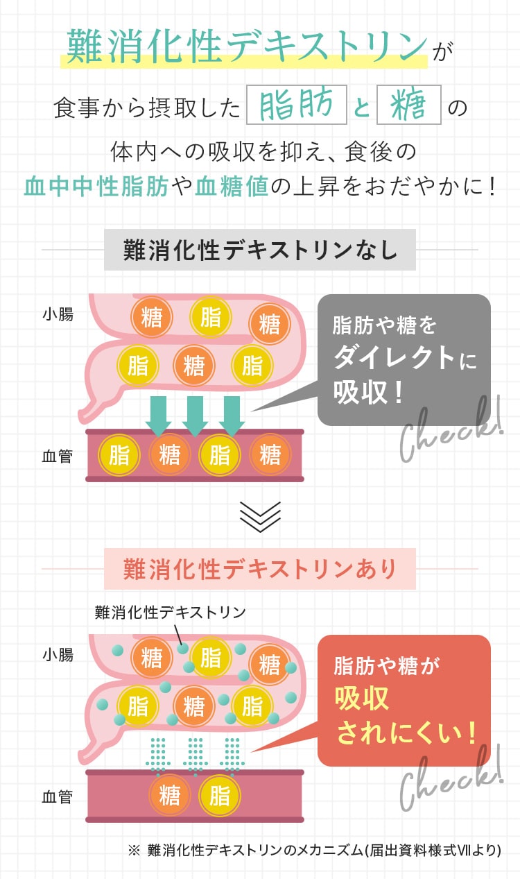 難消化性デキストリンが食事から摂取した脂肪と糖の体内への吸収を抑え、食後の血中中性脂肪と血糖値の上昇をおだやかに！