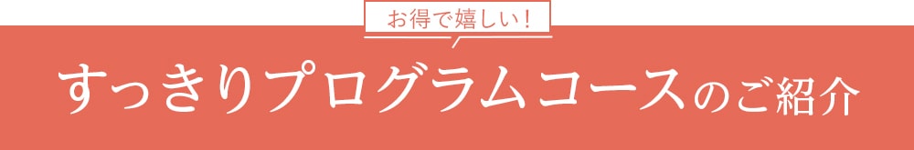 すっきりプログラムコースのご紹介