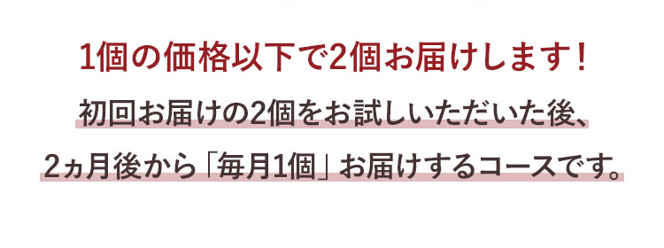 1個の価格以下で2個お届けします！