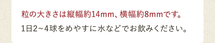 粒の大きさは縦幅約14mm、横幅約8mmです。